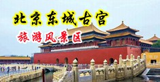 三级黄片免费看日逼逼中国北京-东城古宫旅游风景区